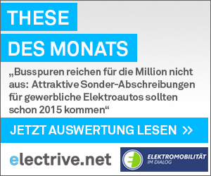TdM-Auswertung-300x250-Gewerbestromer