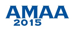 VDI_VDE_AMAA 2015