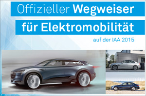 IAA-Guide-Teaser-300x199