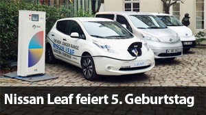 Nissan-Leaf-Birhtday-300