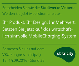 ubriticity_VKU_v2