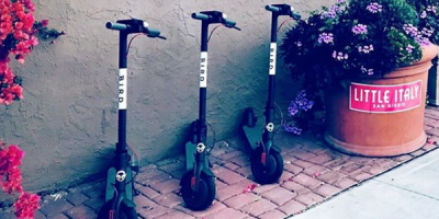 bird-scooter-sharing