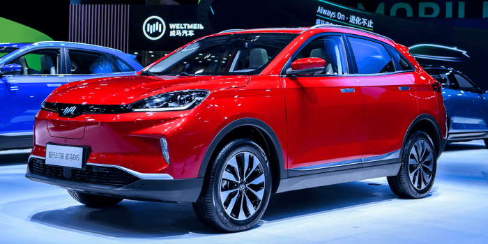 wm-motor-weltmeister-ex5-2-2019-china-02