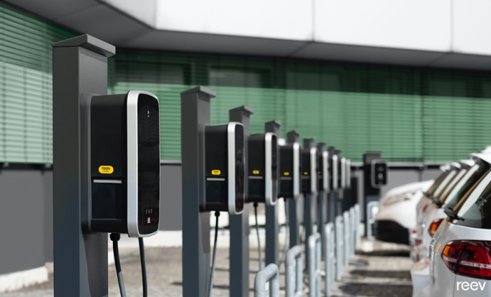 Reev Advertorial Bild2