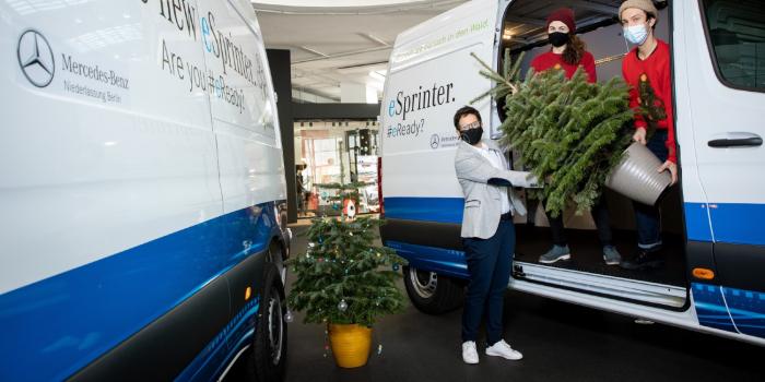 Daimler wundertree esprinter
