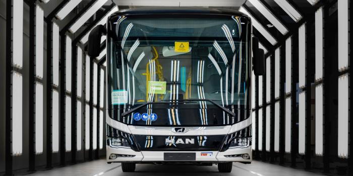 Man lions city e polen