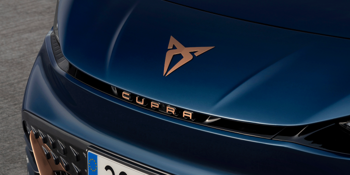 Cupra born min