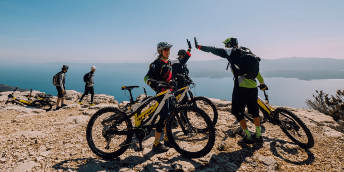 Greyp e bike pedelec min