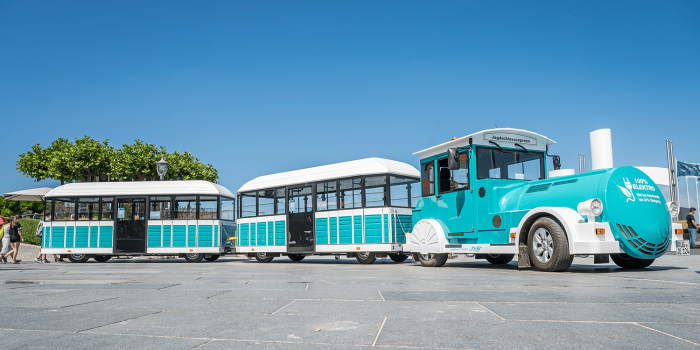 Sightseeing trains ruegen min