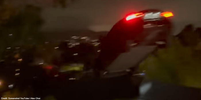 Alex choi model s min