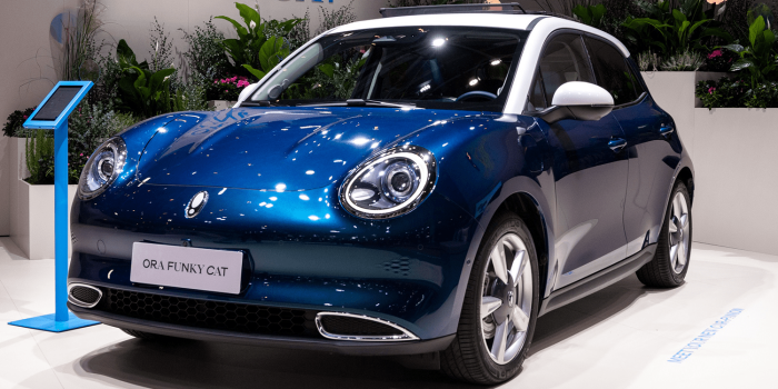 Ora cat ora funky cat min