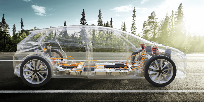 Hermann ultraschall min