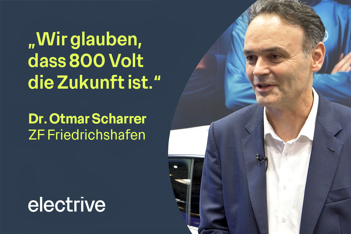 Scharrer interview