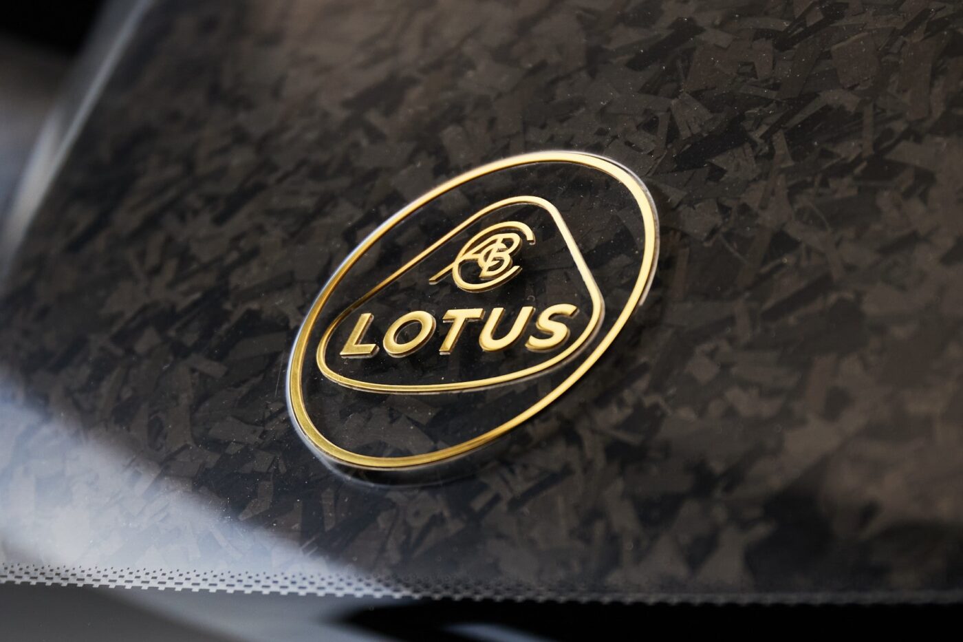 lotus theory 1 2024 01 min