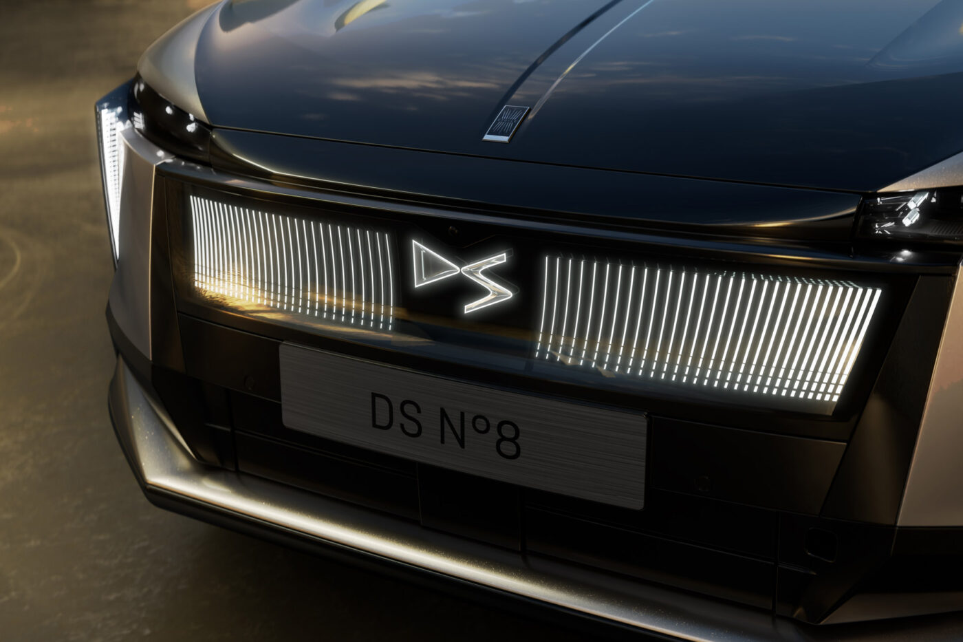 ds n 8 2024 1