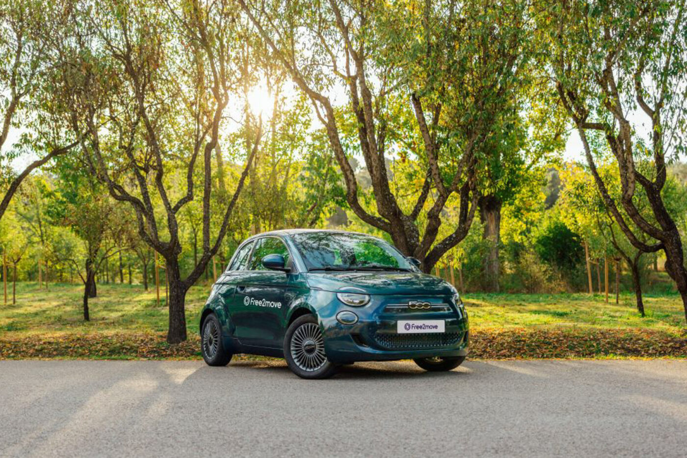 Fiat free2move carsharing