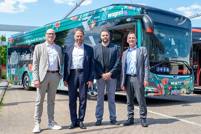 Wupsi man lions city e