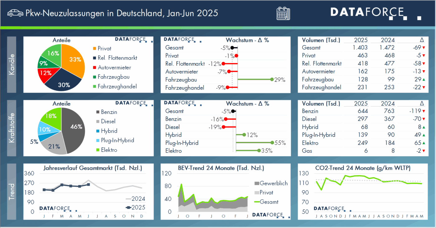 dataforce dashboard h1 2025