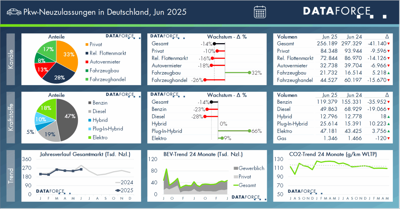 dataforce dashboard juni 2025