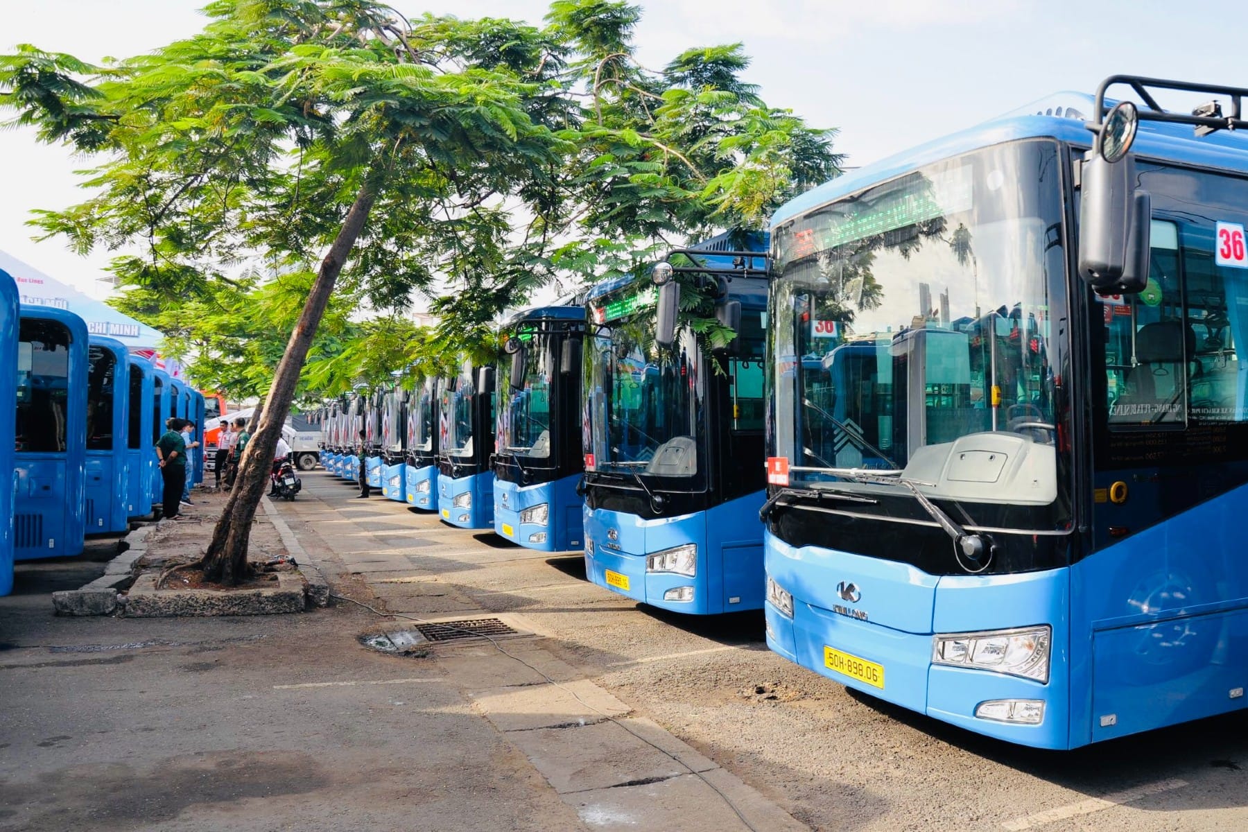 Ho-Chi-Minh-Stadt-Jeder-vierte-Stadtbus-f-hrt-elektrisch