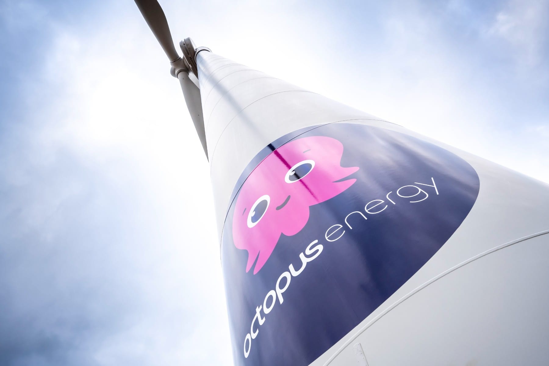 Octopus-f-hrt-Paket-mit-E-Auto-Leasing-Ladestation-und-Stromversorgung-ein