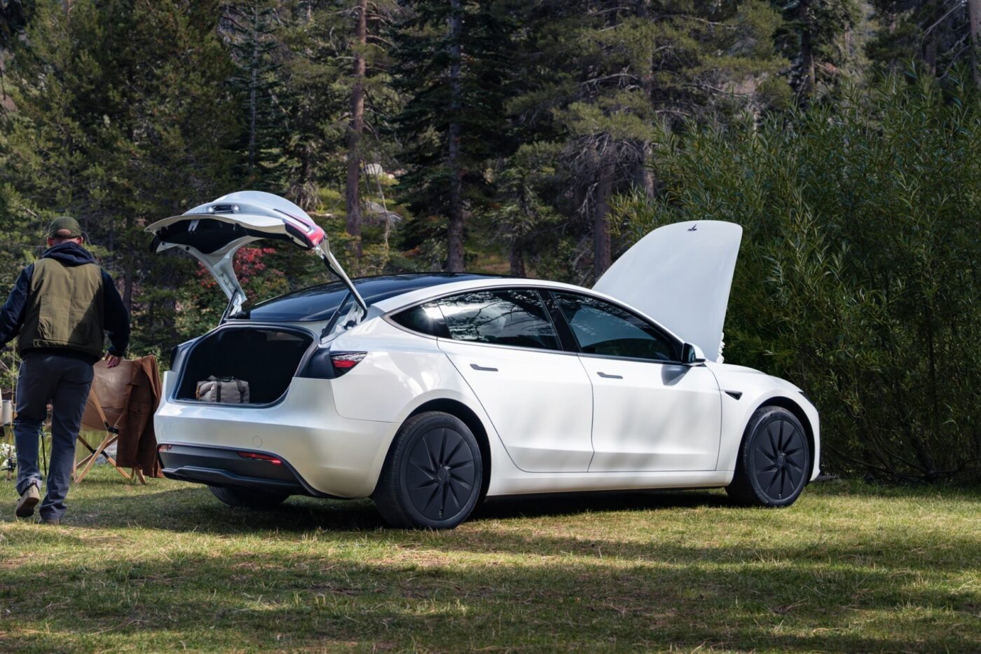 Tesla model standard min