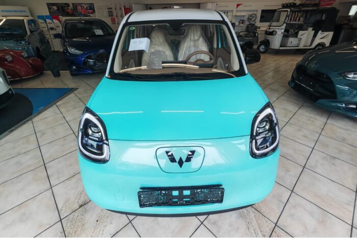 Cargo runner import wuling mini ev hongguang