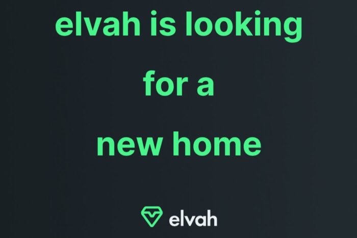 Elvah is looking for a home