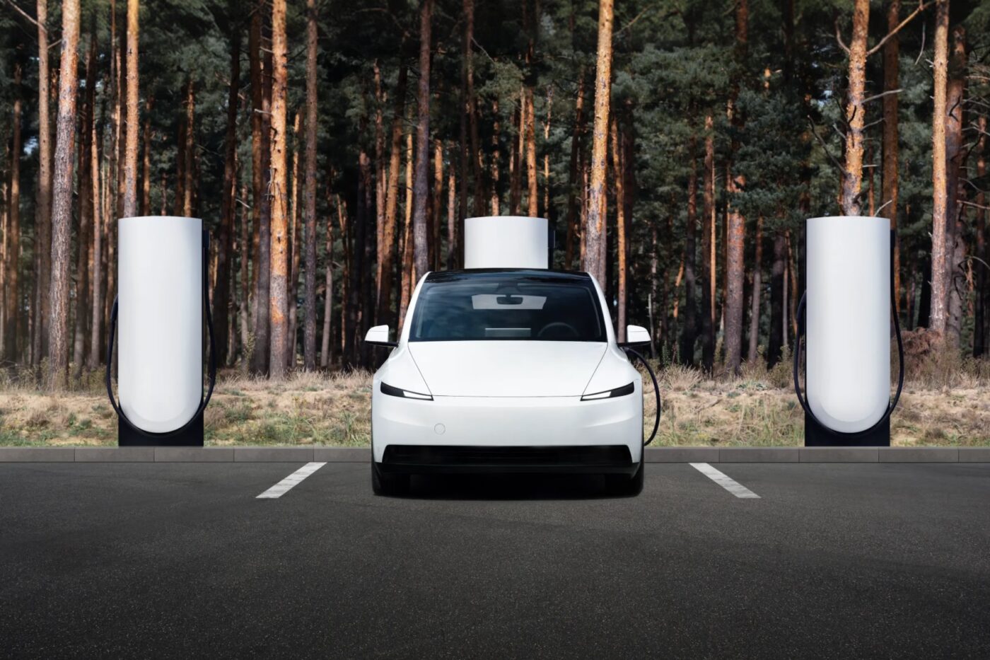 Tesla supercharger for business white label model y