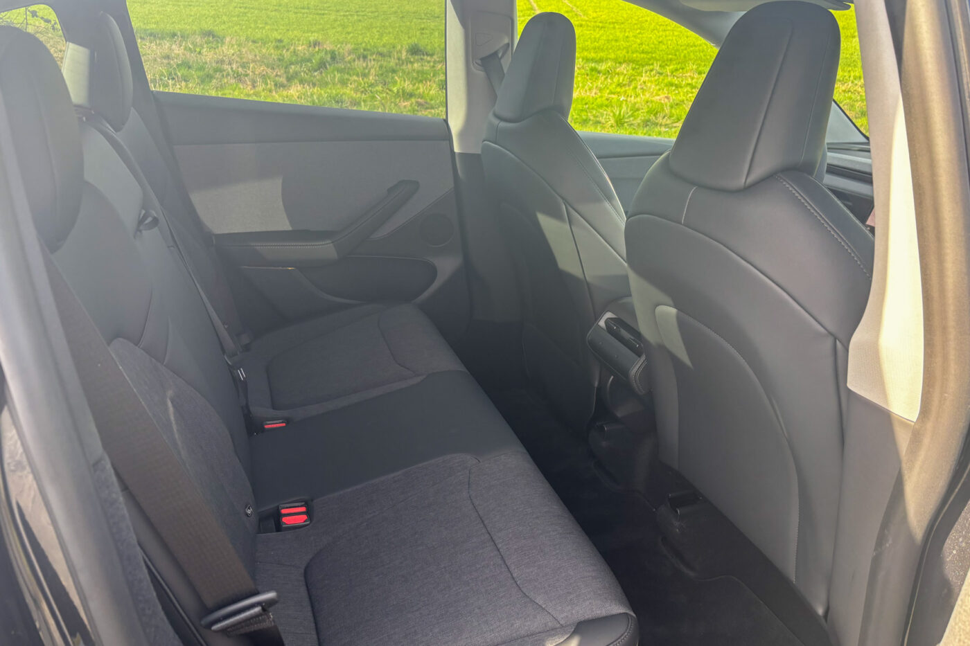 Tesla model y standard