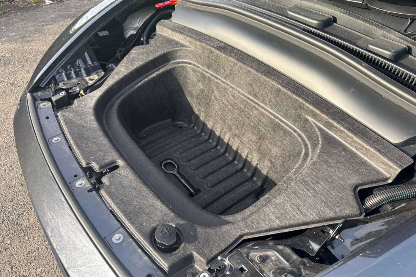 Tesla model y standard