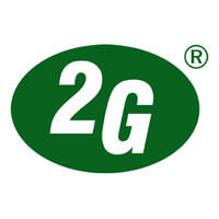 Logo2G Energy AG 79341DE